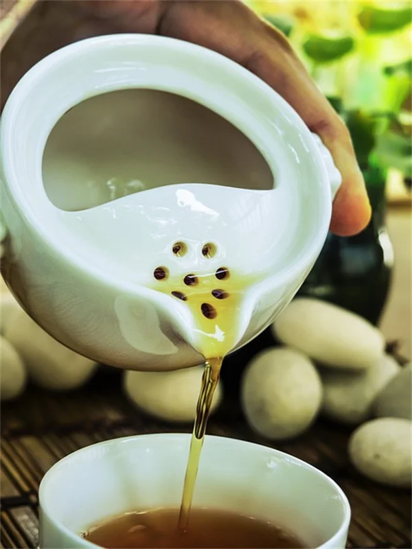 吊り下げ式蜘蛛植物の育て方！初心者でも失敗しない5つのコツ