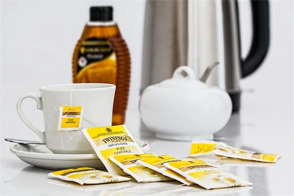 Bee Cups実体験：ミツバチが安全に水を飲める理由と設置のコツ