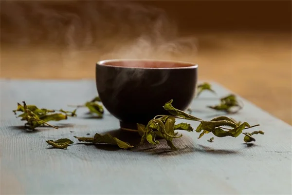 芝生の除草剤プロが教える選び方と使い方のコツ
