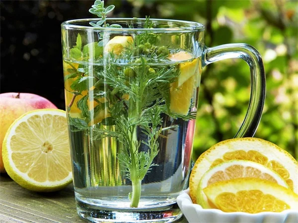アレクサンドル・ジローつるバラの育て方と剪定のコツを徹底解説！5つのポイント